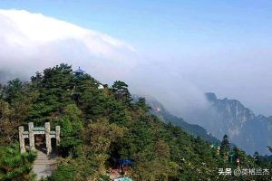 山东省各市2022-2024中考数学真题及解析