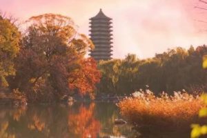 姚洋尊重常识是战胜经济挑战的前提