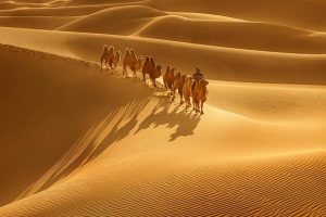 王维的这首边塞诗人人会背，但牵扯到的人物及故事却未必都知道