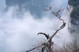 小学信息科技课堂教学基本要求