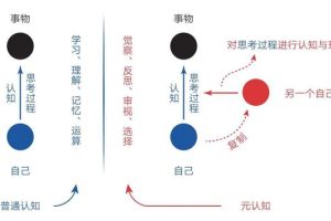 “认识自己”，是觉醒，是生命的又一次开始