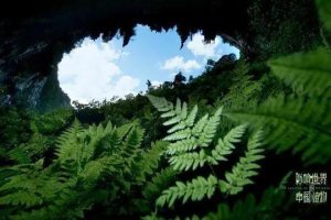 谍战大剧《风筝》带给职场人的三点启示坚持、专业和理性