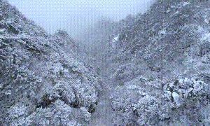 奔赴尧山，畅爽雪乡