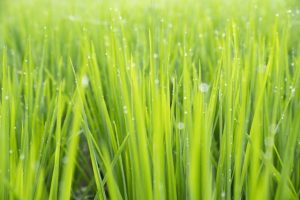 儿童性教育启蒙越早越好,这四部优秀作品一定要陪孩子一起看