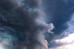 暴风雨来了(小作家郑健雄)