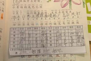 词语听写总是错……这样_预习复习来解决