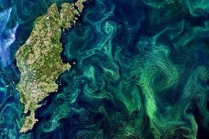 NASA研究海洋涡流对气候变暖的影响｜Science_12月07日
