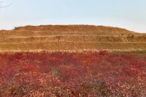 箜篌城的传说之十一箜篌鼻祖师延与郑国国君的传说