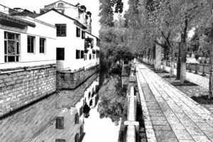 《四季之美》体会“优雅”之美，我用三个动词，走向细腻具化