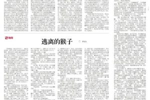 文荟‖当吃了又吃