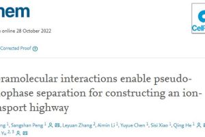 湖南大学利用超分子化学策略构筑高速离子传输通道研究获进展