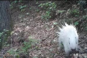 耗时5天，我总结了高中数学求函数值域的20种方法，建议收藏