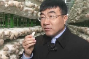 启动区又添保障性住房，在雄安新区买房，要注意这些