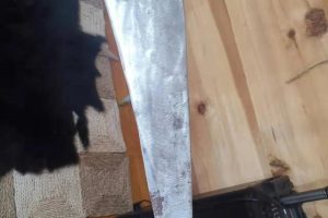 大泽乡揭竿而起的陈胜没有天生的英雄，只有逼出来的辉煌