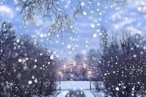 身价95亿的大富婆小学竟然没毕业，搬砖保姆卖面条如何逆袭富豪