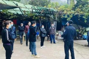 鲨鱼男孩-六岁小丁的作品